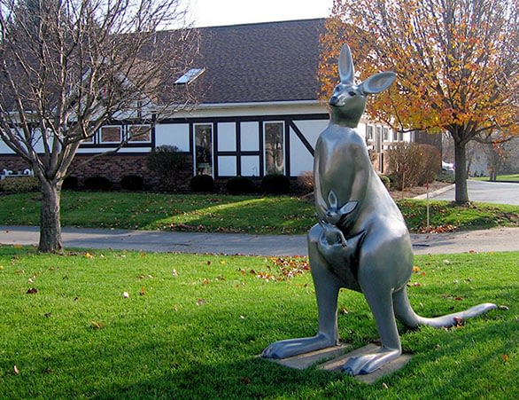 kanga kanga