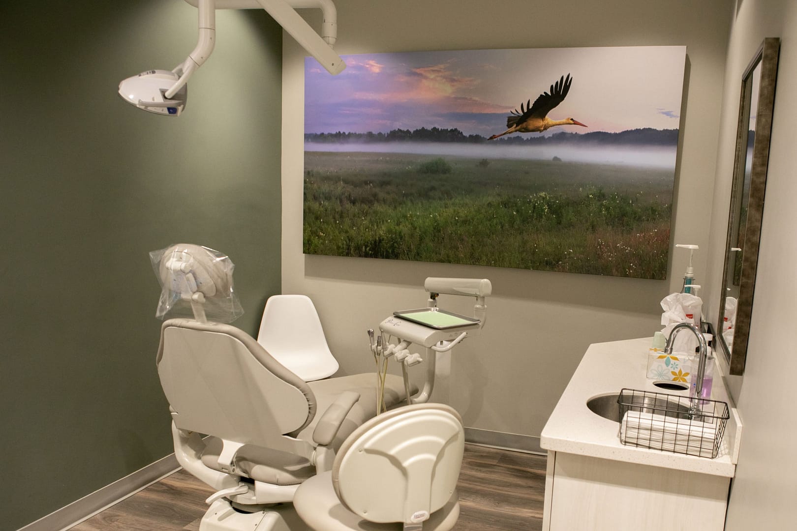 exam room with dental chair and equipment and large photo of flying crane on wall