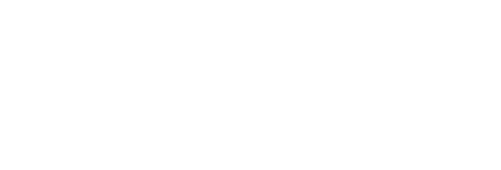 peer-logo-footer