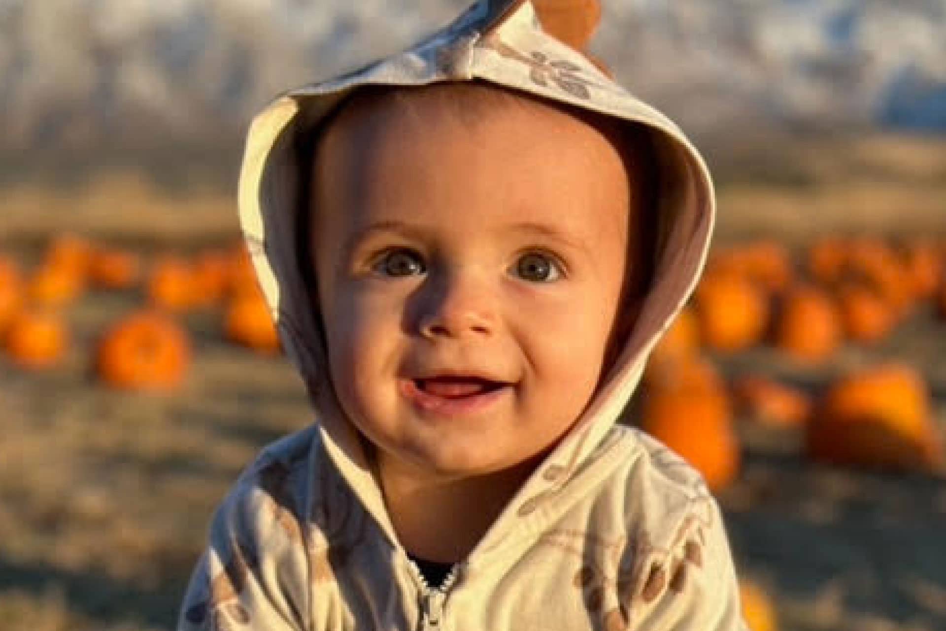 toddler boy at the pumpkin patch