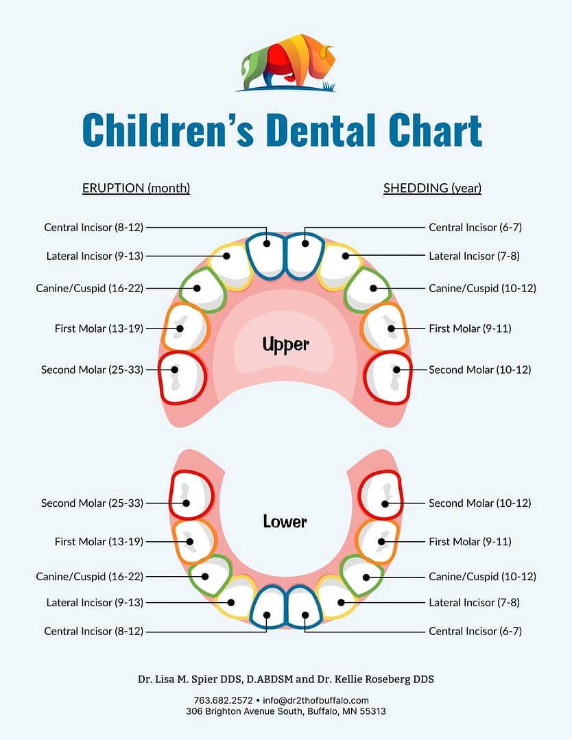 Children's Dental tooth eruption chart