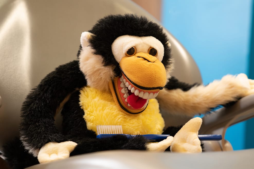 stuffed animal with human teeth for brushing example