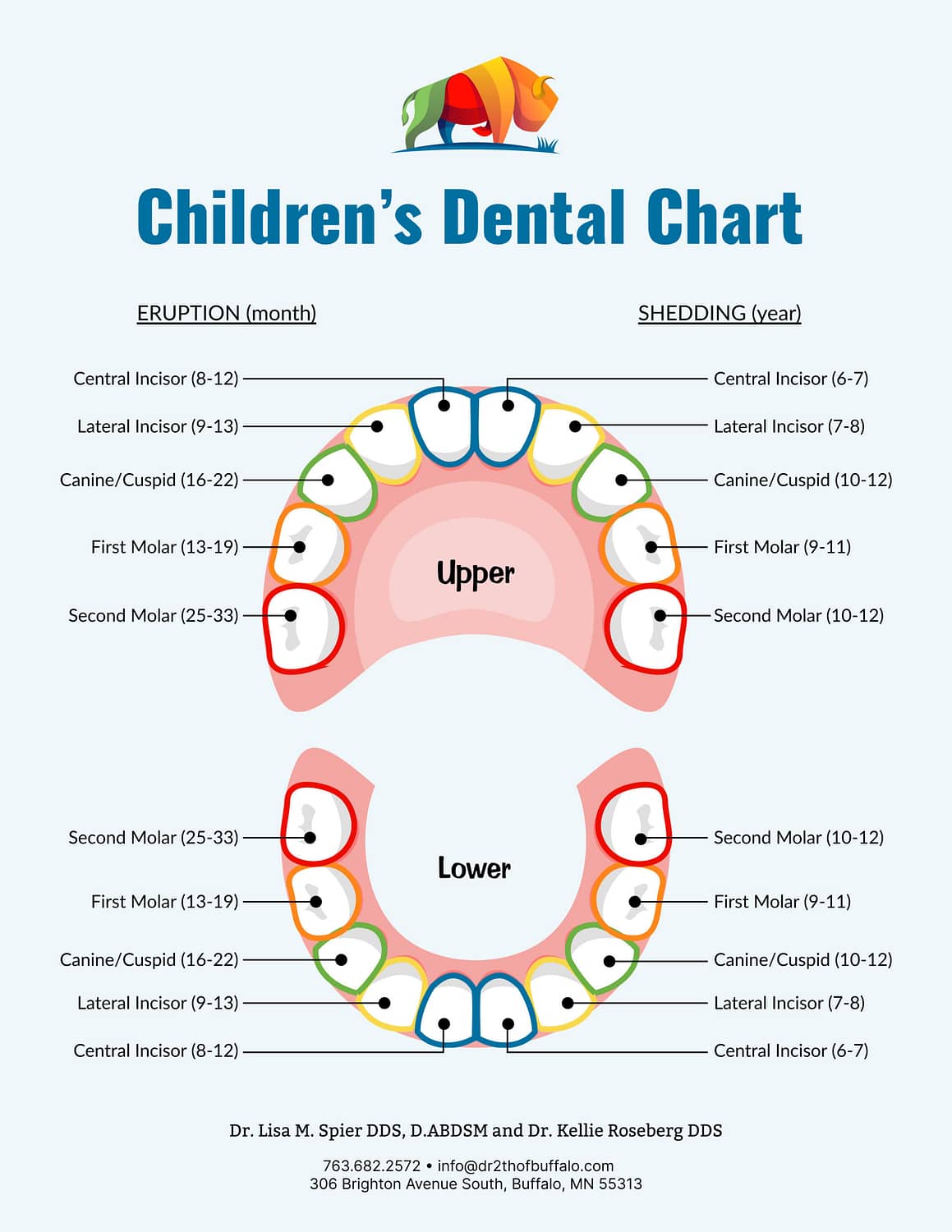 Children's Dental tooth eruption chart