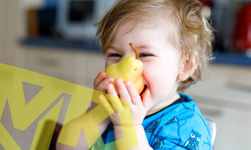 A Guide To Treating Your Toddlers To A Balanced Diet a-guide-to-treating-your-toddlers-to-a-balanced-diet