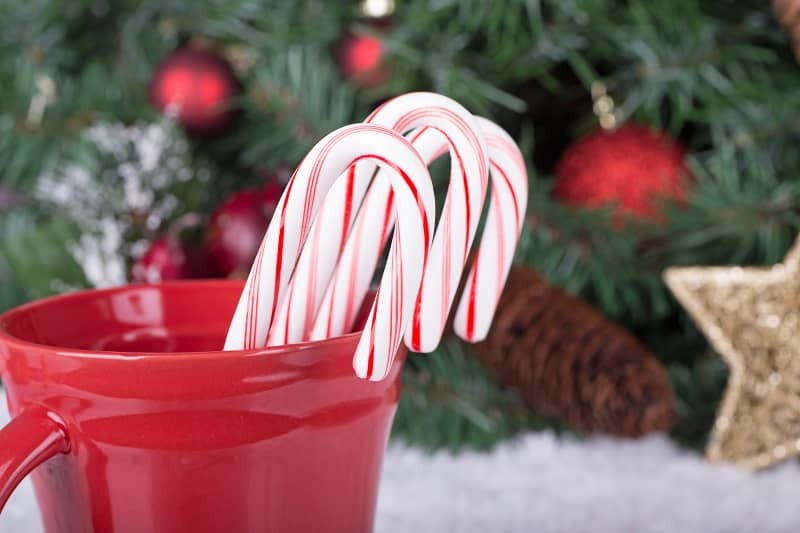 Three Christmas candy canes in a red cup with holiday decorations in background